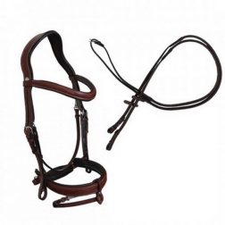 harnachement_bridon-renes