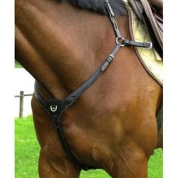 harnachement_collier-de-chasse